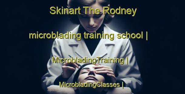 Skinart The Rodney microblading training school | MicrobladingTraining | MicrobladingClasses | SkinartTraining-Canada
